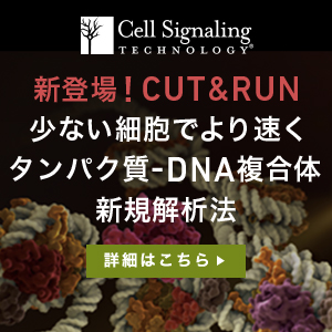 制作実績一覧>美容・健康・サイエンス>19 CST