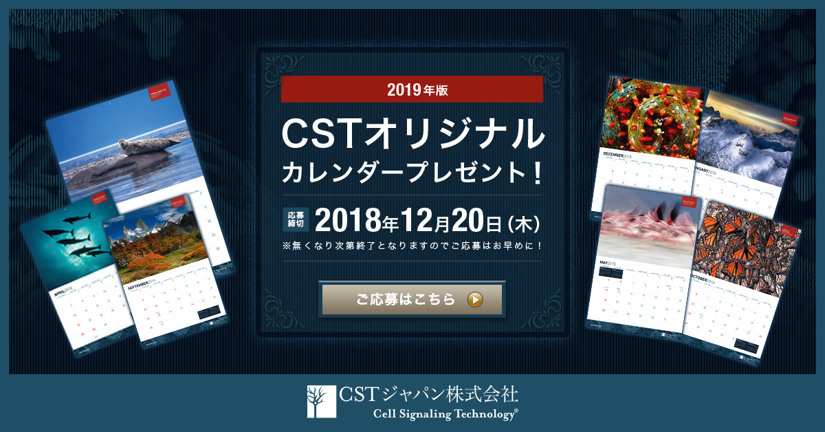 制作実績一覧>美容・健康・サイエンス>21 CST