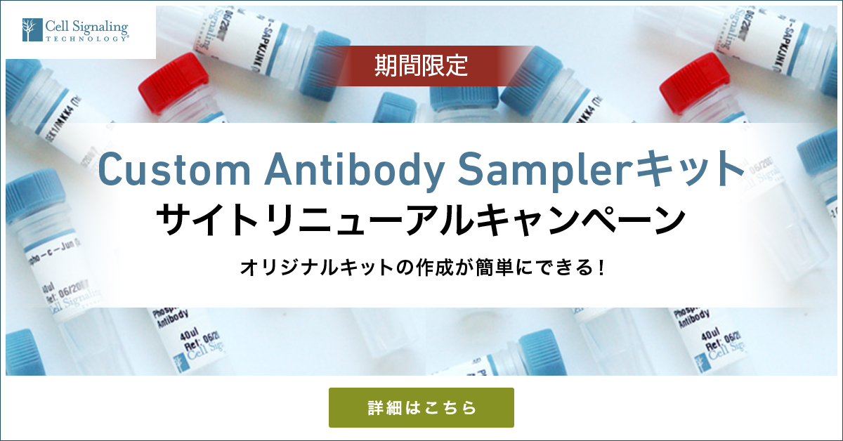 制作実績一覧>美容・健康・サイエンス>22 CST