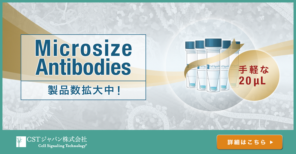 制作実績一覧>美容・健康・サイエンス>24 CST