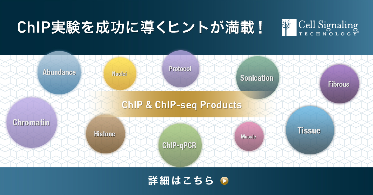 制作実績一覧>美容・健康・サイエンス>25 CST