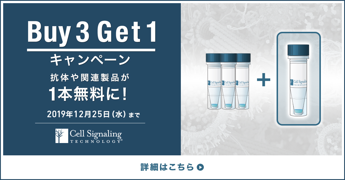 制作実績一覧>美容・健康・サイエンス>27 CST