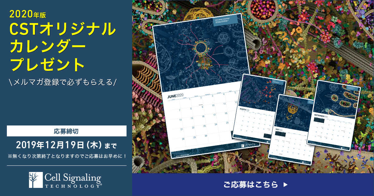 制作実績一覧>美容・健康・サイエンス>29 CST