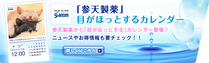 制作実績一覧>エンターテインメント>12 きせかえカレンダー