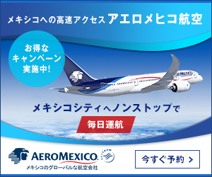 制作実績一覧>サービス・教育>22 エアロメヒコ航空